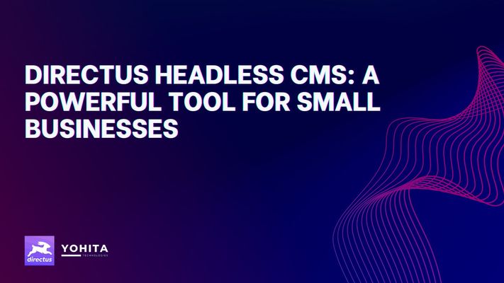 empowering-small-businesses-directus-headless-cms