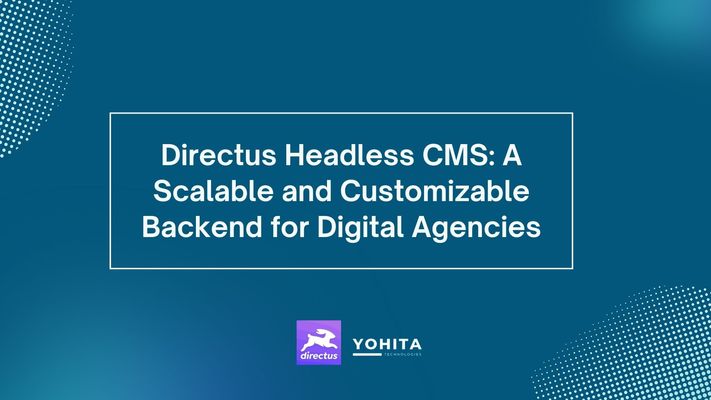 scalable-and-customizable-directus-headless-cms-backend-for-digital-agencies