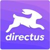 Directus Consultancy