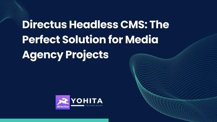 seamless-client-collaboration-directus-headless-cms-media-agency-projects