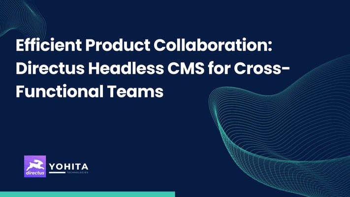 efficient-product-collaboration-directus-headless-cms