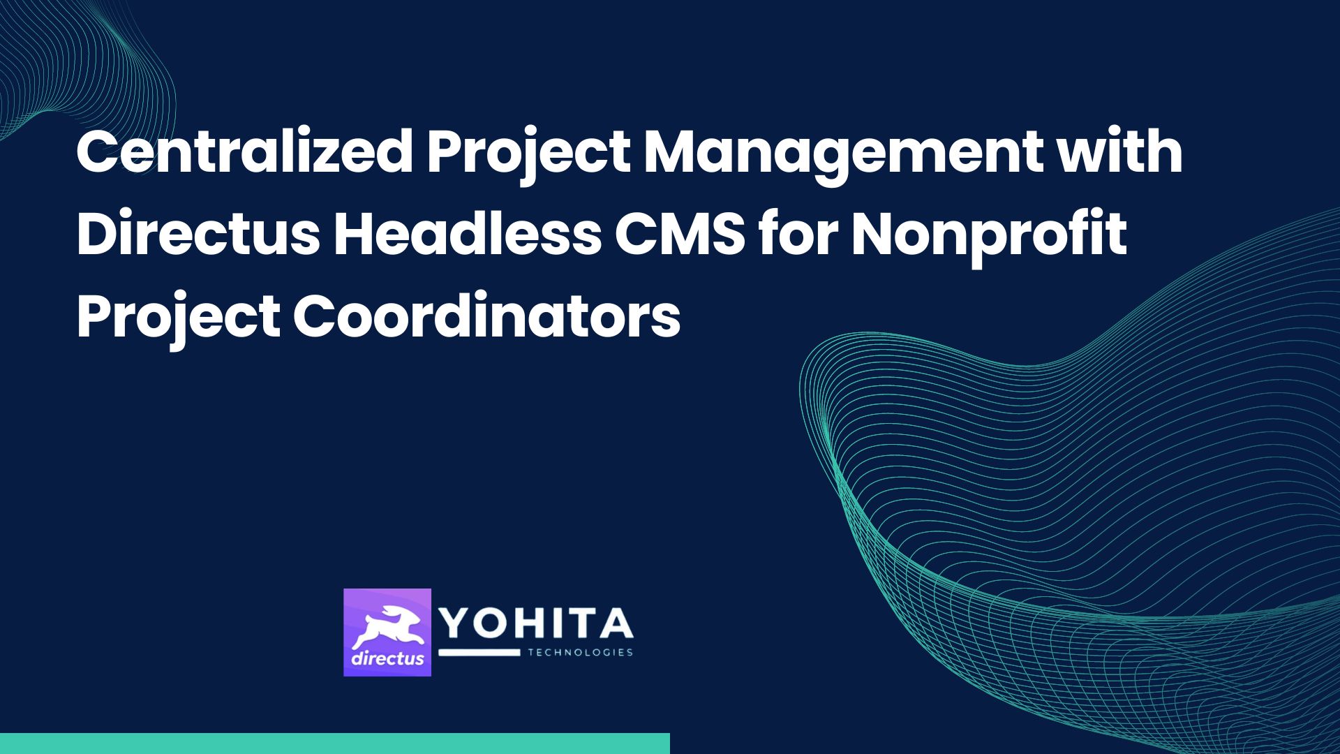 centralized-project-management-directus-headless-cms-for-nonprofit-project-coordinators